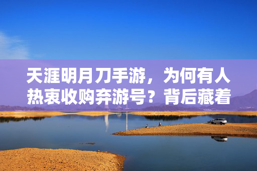 天涯明月刀手游，为何有人热衷收购弃游号？背后藏着这些门道，天涯明月刀手游，收购弃游号的背后门道
