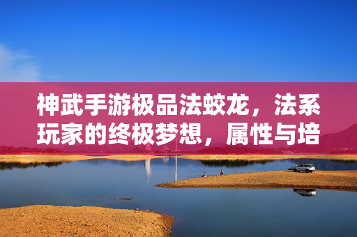 神武手游极品法蛟龙，法系玩家的终极梦想，属性与培养全解析，神武手游极品法蛟龙，法系玩家终极梦想与属性培养全解析