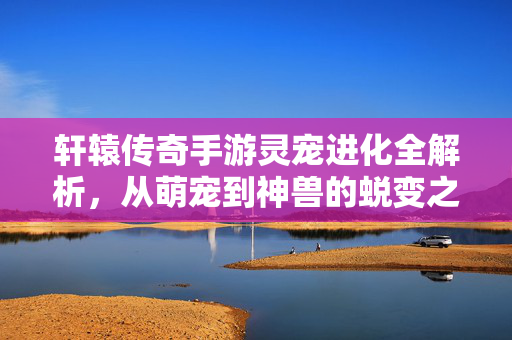 轩辕传奇手游灵宠进化全解析，从萌宠到神兽的蜕变之路，轩辕传奇手游灵宠进化全解析，从萌宠到神兽的蜕变之路