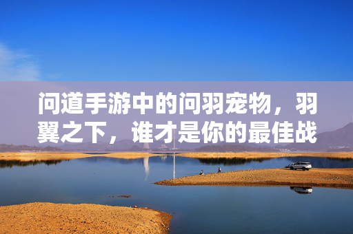 问道手游中的问羽宠物,羽翼之下,谁才是你的最佳战伴?问道手游问羽宠物,羽翼之下,谁才是你的最佳战伴?