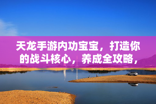 天龙手游内功宝宝，打造你的战斗核心，养成全攻略，天龙手游内功宝宝养成全攻略，打造你的战斗核心