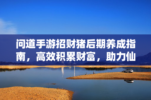 问道手游招财猪后期养成指南,高效积累财富,助力仙途无忧,问道手游招财猪后期养成,高效积累财富,仙途无忧