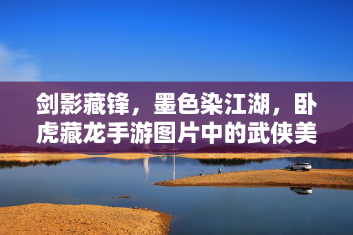 剑影藏锋,墨色染江湖,卧虎藏龙手游图片中的武侠美学,卧虎藏龙手游,剑影墨色里的江湖美学