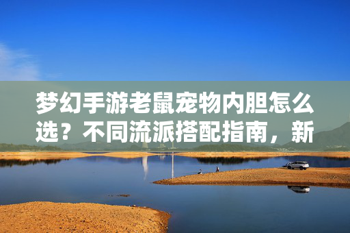 梦幻手游老鼠宠物内胆怎么选？不同流派搭配指南，新手老手都适用，梦幻手游老鼠宠物内胆怎么选？流派搭配指南（新手老手适用）