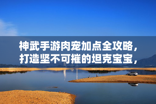 神武手游肉宠加点全攻略,打造坚不可摧的坦克宝宝,神武手游肉宠加点全攻略,打造坚不可摧坦克宝宝