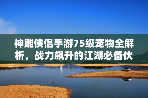 神雕侠侣手游75级宠物全解析，战力飙升的江湖必备伙伴，神雕侠侣手游75级宠物全解析，战力飙升的江湖必备伙伴