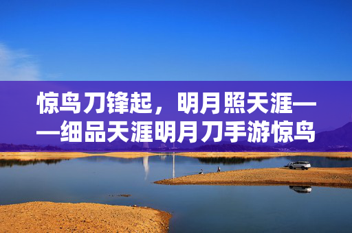 惊鸟刀锋起，明月照天涯——细品天涯明月刀手游惊鸟之韵，惊鸟明月天涯手游刀韵