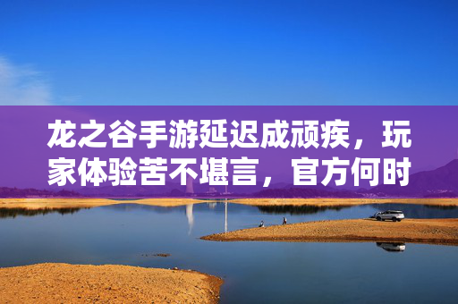 龙之谷手游延迟成顽疾，玩家体验苦不堪言，官方何时给出解决方案？龙之谷手游延迟顽疾持续，玩家苦不堪言盼官方解决