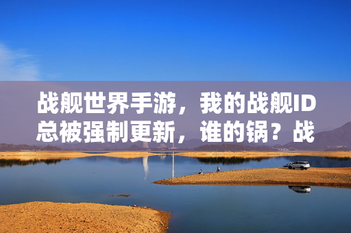 战舰世界手游，我的战舰ID总被强制更新，谁的锅？战舰世界手游ID为何总被强制更新，谁的锅？