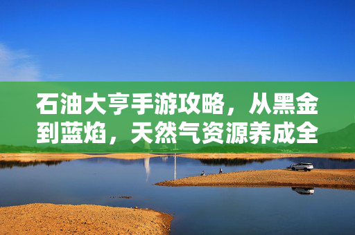 石油大亨手游攻略，从黑金到蓝焰，天然气资源养成全解析，石油大亨手游攻略，从黑金到蓝焰，天然气资源养成全解析