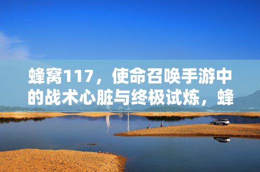 蜂窝117，使命召唤手游中的战术心脏与终极试炼，蜂窝117，使命召唤手游的战术心脏与终极试炼