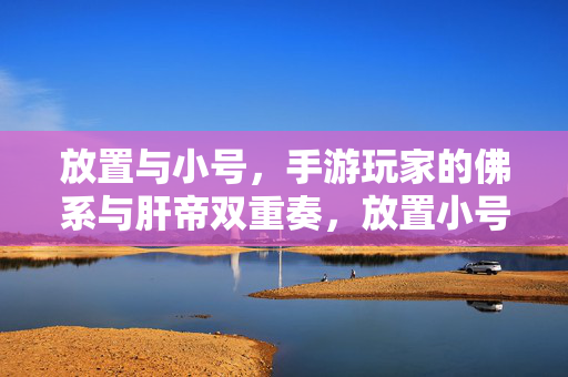 放置与小号，手游玩家的佛系与肝帝双重奏，放置小号，佛系肝帝，手游玩家的双重奏