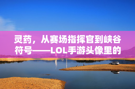 灵药,从赛场指挥官到峡谷符号——LOL手游头像里的老将情怀,灵药,从赛场指挥官到峡谷符号,LOL手游头像里的老将情怀