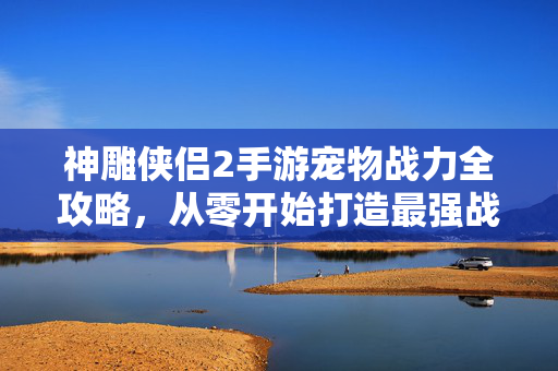 神雕侠侣2手游宠物战力全攻略，从零开始打造最强战斗伙伴，神雕侠侣2手游宠物战力全攻略，从零打造最强战斗伙伴