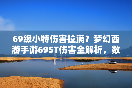 69级小特伤害拉满？梦幻西游手游69ST伤害全解析，数值、技巧与实战，梦幻西游手游69级小特伤害拉满全解析