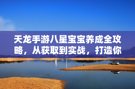 天龙手游八星宝宝养成全攻略，从获取到实战，打造你的最强伙伴，天龙手游八星宝宝养成全攻略，从获取到实战打造最强伙伴