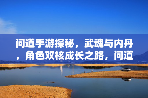 问道手游探秘,武魂与内丹,角色双核成长之路,问道手游,武魂与内丹双核成长之路