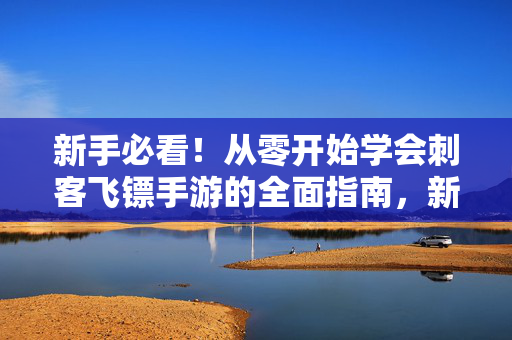 新手必看！从零开始学会刺客飞镖手游的全面指南，新手必看，从零开始学刺客飞镖手游全面指南