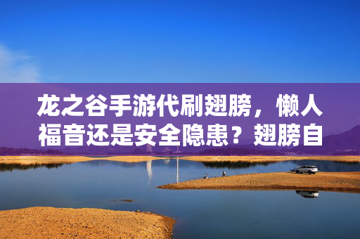 龙之谷手游代刷翅膀,懒人福音还是安全隐患?翅膀自由背后的那些事,龙之谷手游代刷翅膀,懒人福音还是安全隐患?
