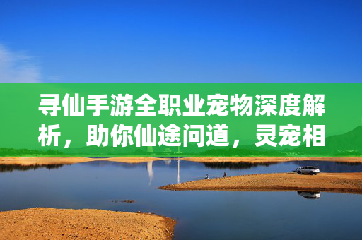 寻仙手游全职业宠物深度解析，助你仙途问道，灵宠相伴，寻仙手游全职业宠物深度解析