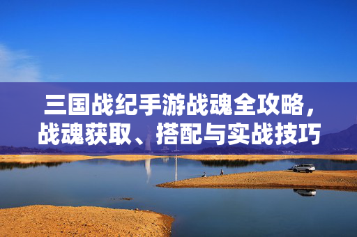 三国战纪手游战魂全攻略，战魂获取、搭配与实战技巧，助你称霸三国战场！三国战纪手游战魂全攻略，获取搭配实战，助你称霸战场！