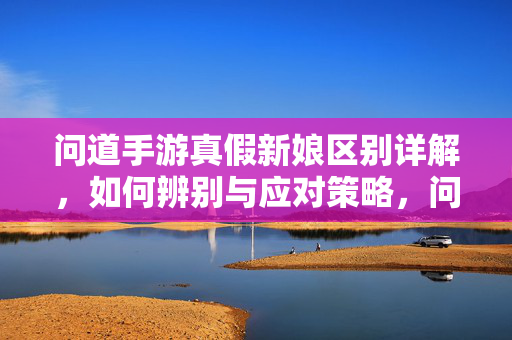 问道手游真假新娘区别详解，如何辨别与应对策略，问道手游真假新娘区别详解与应对策略