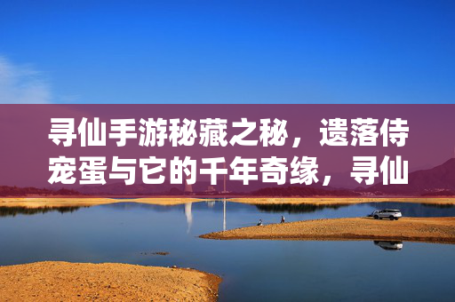 寻仙手游秘藏之秘，遗落侍宠蛋与它的千年奇缘，寻仙手游秘藏，遗落侍宠蛋的千年奇缘