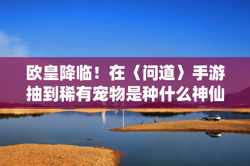 欧皇降临!在〈问道〉手游抽到稀有宠物是种什么神仙体验?欧皇降临!〈问道〉手游抽稀有宠的神仙体验