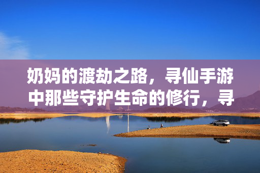 奶妈的渡劫之路，寻仙手游中那些守护生命的修行，寻仙手游奶妈渡劫路，守护生命的修行