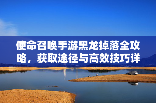 使命召唤手游黑龙掉落全攻略，获取途径与高效技巧详解，使命召唤手游黑龙掉落全攻略，获取途径与高效技巧