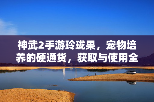 神武2手游玲珑果，宠物培养的硬通货，获取与使用全攻略，神武2手游玲珑果，宠物培养硬通货获取与使用全攻略