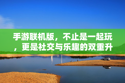 手游联机版，不止是一起玩，更是社交与乐趣的双重升级，联机不止玩，社交乐趣双升级