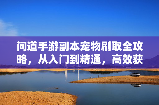 问道手游副本宠物刷取全攻略，从入门到精通，高效获取极品灵兽，问道手游副本宠物刷取全攻略，从入门到精通，高效获取极品灵兽