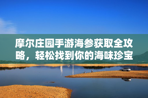 摩尔庄园手游海参获取全攻略，轻松找到你的海味珍宝，摩尔庄园手游海参获取全攻略，轻松集齐海味珍宝