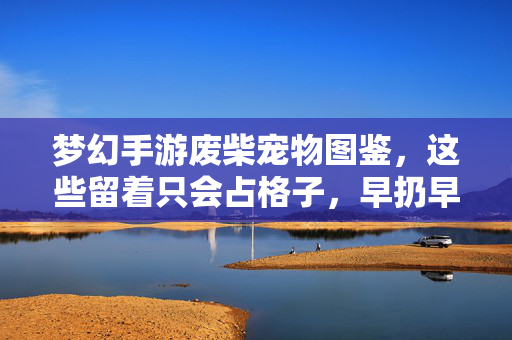 梦幻手游废柴宠物图鉴，这些留着只会占格子，早扔早轻松！梦幻手游废柴宠物图鉴，留着占格子？早扔早轻松！