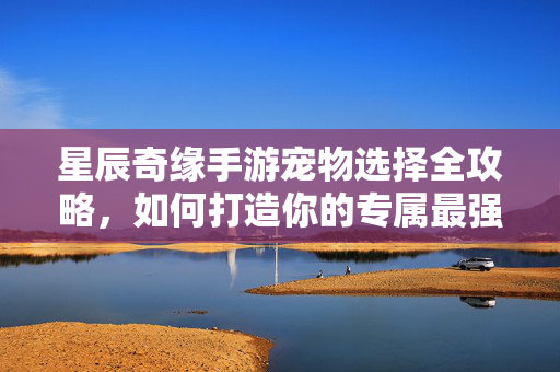 星辰奇缘手游宠物选择全攻略,如何打造你的专属最强神宠?星辰奇缘手游宠物选择全攻略,打造专属最强神宠