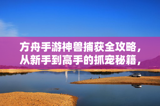方舟手游神兽捕获全攻略，从新手到高手的抓宠秘籍，方舟手游神兽捕获全攻略，新手到高手的抓宠秘籍