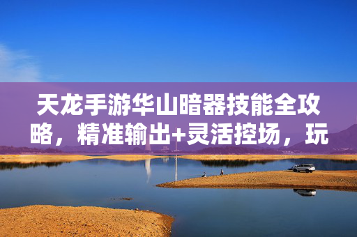 天龙手游华山暗器技能全攻略，精准输出+灵活控场，玩转远程暗器流，天龙手游华山暗器技能全攻略，精准输出+灵活控场，玩转远程暗器流