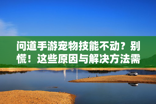 问道手游宠物技能不动？别慌！这些原因与解决方法需知晓，问道手游宠物技能不动？别慌！原因与解决方法需知晓