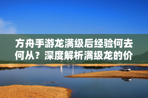方舟手游龙满级后经验何去何从？深度解析满级龙的价值与规划，方舟手游满级龙经验去向与价值规划解析