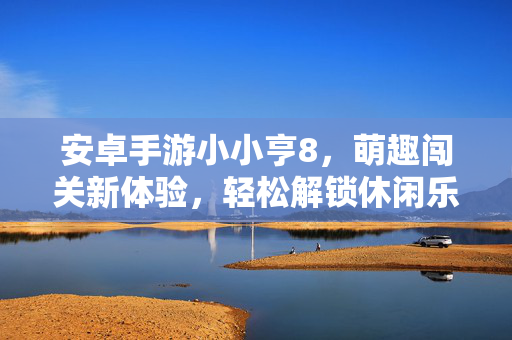 安卓手游小小亨8，萌趣闯关新体验，轻松解锁休闲乐趣，安卓手游小小亨8，萌趣闯关新体验，轻松解锁休闲乐趣