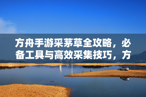 方舟手游采茅草全攻略，必备工具与高效采集技巧，方舟手游茅草高效采集全攻略，必备工具与技巧详解