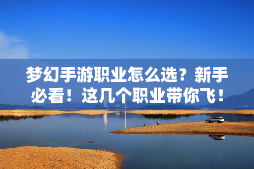 梦幻手游职业怎么选？新手必看！这几个职业带你飞！新手必看，梦幻手游职业选择，这几个带你飞！