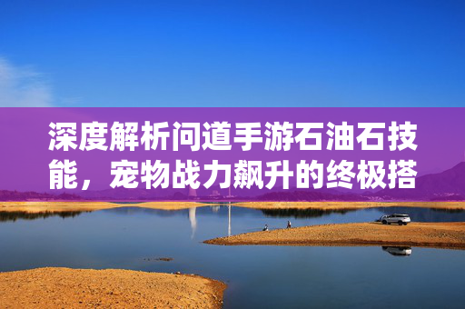 深度解析问道手游石油石技能，宠物战力飙升的终极搭配指南，深度解析，问道手游石油石技能与宠物战力飙升终极搭配指南
