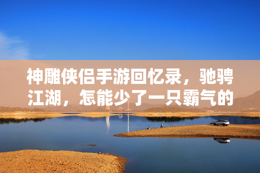 神雕侠侣手游回忆录，驰骋江湖，怎能少了一只霸气的老虎相伴？神雕侠侣手游回忆录，霸气老虎，江湖相伴