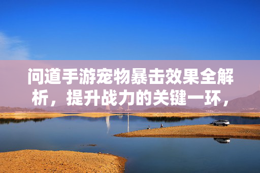 问道手游宠物暴击效果全解析，提升战力的关键一环，问道手游宠物暴击效果全解析，提升战力的关键一环
