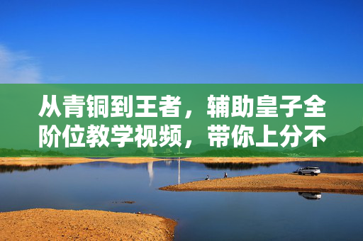从青铜到王者，辅助皇子全阶位教学视频，带你上分不迷路！辅助皇子全阶位教学，从青铜到王者，上分不迷路！