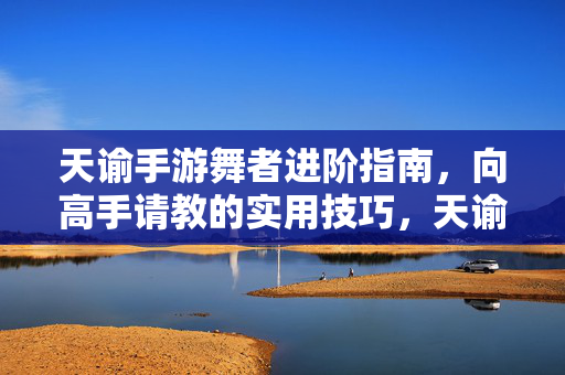天谕手游舞者进阶指南，向高手请教的实用技巧，天谕手游舞者高手进阶实用技巧