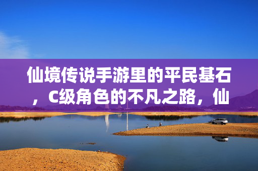 仙境传说手游里的平民基石，C级角色的不凡之路，仙境传说手游，平民基石C级角色的不凡之路