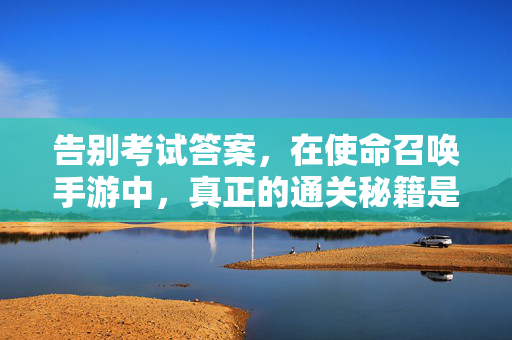 告别考试答案，在使命召唤手游中，真正的通关秘籍是理解与练习，使命召唤手游，真正的通关秘籍，是理解与练习
